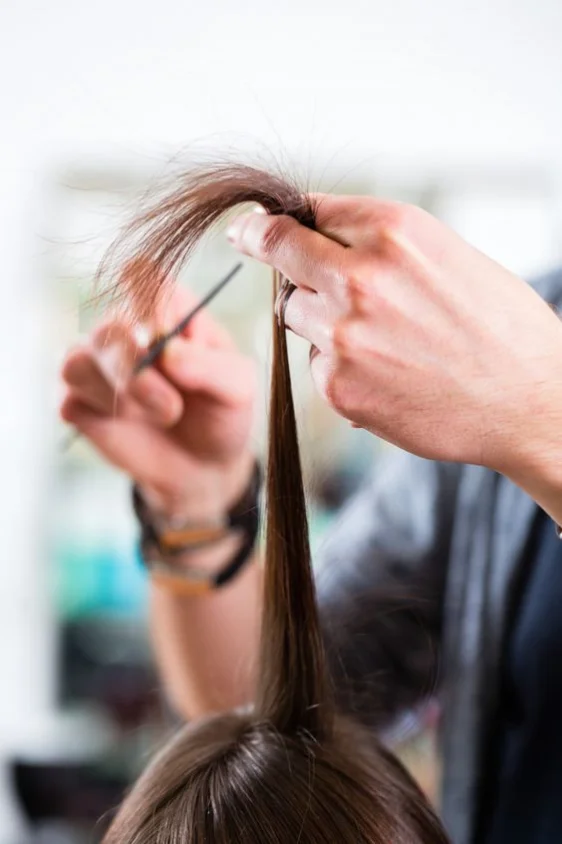 Healthy hair trim for split-end removal at Maison Privee